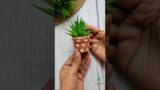Mini Terracotta planter | Easy DIY | Home garden #shorts #homegarden #miniature