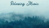 Mist Fog Moving Through Trees with Relaxing Music, Study, Sleep, Meditate, Relax, Relaxing Fog
