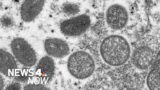 Monkeypox Outbreak Hits Westchester as Suspected NYC Case Count Rises | News 4 Now