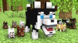 Monster School : Poor Zombie Dog Life ( Bad Family ) – Sad Story – Minecraft Animation