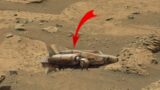 NASA Recently Released a New 4k Video of Mars ||Mars 4k Video||