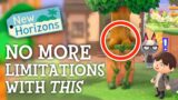 No More Island LIMITATIONS With THIS in Animal Crossing New Horizons