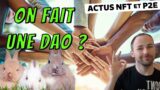 On fait une DAO NFT ensemble? – Actu NFT & Blockchain Gaming