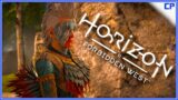 Operation Sidequests l Horizon : Forbidden West Blind Playthrough Part 16