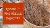 Pine Needle Basketry: Gathering and Cleaning Pine Needles