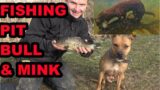 Pit Bull and Mink Both Catch Fish?!?!?!?