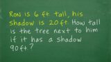 Ron is 6 ft tall, his shadow is 20 ft. How tall is the tree next to him if it has a shadow of 90 ft?