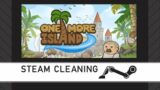 Steam Cleaning – One More Island