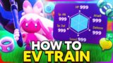 The BEST EV Training Guide & EV Locations in Pokemon Scarlet & Violet