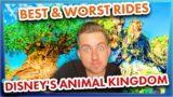 The BEST and WORST Rides in Disney's Animal Kingdom
