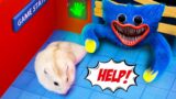 The Best Challenges Hamsterious | Hamster Escape The Rainbow Friends, Poppy Playtime, Squid Game