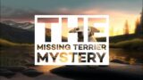 The Missing Terrier Mystery: Tim and Jack to the Rescue