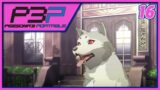 The Once and Future Good Boy | Let's Play Persona 3 Portable [Female Route] [Maniac] [PC]  Part 16