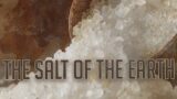 The Salt of The Earth