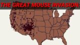 The WORST Plague Outbreak In the History Of U.S.