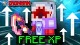 This skyblock XP bug was BROKEN… (Hypixel Skyblock Ironman) Ep.411