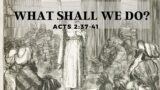 What Shall We Do? (Acts 2:37-41)