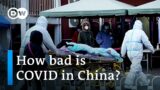 What can China do to slow its post-lockdown COVID surge? | DW News
