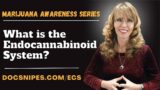 What is the Endocannabinoid System | Marijuana Awareness Series