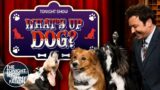 What's Up Dog?: Hockey, Chasing and Catching Tails, and Playing the Piano | The Tonight Show