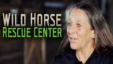 Wild Horse Rescue Center – Horse Rescue Heroes | S3E2
