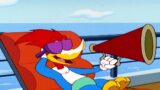 Woody Woodpecker | Woody gets a free cruise + More Full Episodes
