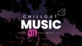 chill lofi beats-City night Lights / Night City View /, 30 minute of Relaxing Music