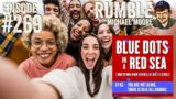 "Blue Dots in a Red Sea" Part 2 | Ep. 269 Rumble with Michael Moore podcast
