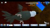 roblox-feather family (sparrows life) against all odds