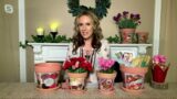 Mr. Sunshine 8" and 6" Terracotta Planters with Vintage Art on QVC
