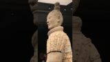 Not the terracotta Warriors are not coming to China, Amazing #Terracotta #warriors #china