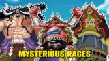 4 One Piece Races Yet to be Solved