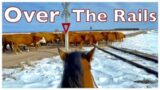 A Cattle Drive to Cow Paradise!! (Cow Tracks & Train Tracks)