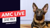 AMC – SAVE MAX – BULLISH – Live Stream @AntsTrades