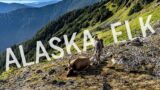 Alaska Elk: An Elk101 Film Premiere