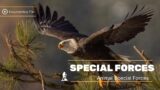 Animal Special Forces | Documentary Film 2023