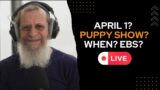 April 1? Puppy Show? When? EBS? Kabbalah Guru