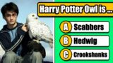 Are You a True Harry Potter Fan? Take This Quiz to Find Out! (Harry Potter Quiz)