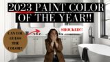BEHR PAINT COLOR OF THE YEAR 2023