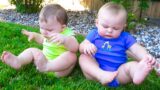 BEST Cute and Funny Baby Moments Compilation of February 2023 || Cool Peachy