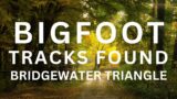 BIGFOOT TRACKS FOUND – BRIDGEWATER TRIANGLE, MASSACHUSETTS