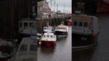 Boats In Whitby Harbour. #shorts