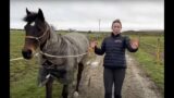 Charlotte's shenanigans! A horse mum's vlog