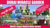 DUBAI MIRACLE GARDEN: World's Largest Natural Flower Garden