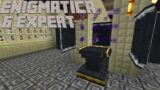 Dimensional Storage and Netherite Bee: Enigmatica 6 Expert Minecraft 1.16.5 LP EP #24
