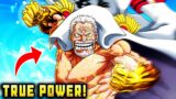 Discovering Hidden Powers Of The Strongest One Piece Characters