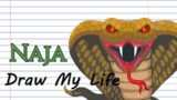 Draw My Life – Naja