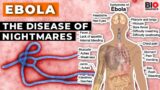 Ebola: The Disease of Nightmares