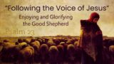 Enjoying and Glorifying the Good Shepherd – Psalm 23