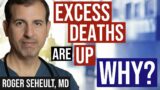 Excess Deaths: Causes (Deep Dive)